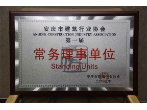 安慶建筑業協會常務理事單位